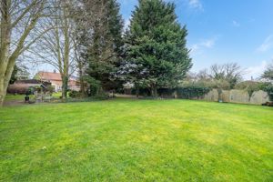 Rear garden- click for photo gallery